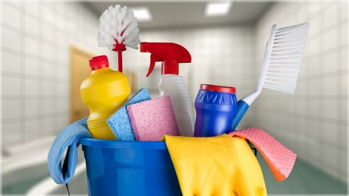 Cleaning professional inspecting carpet condition before treatment