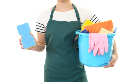 Carpet cleaning service in a SW10 property
