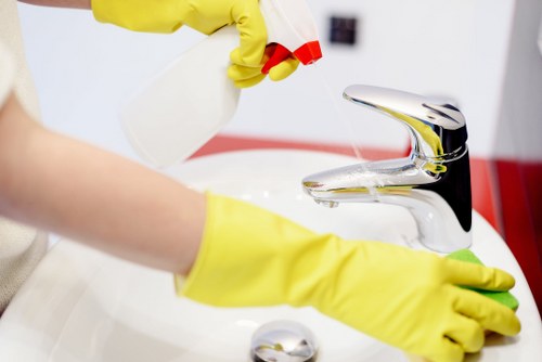 Experienced oven cleaner in SW10 polishing oven glass and racks