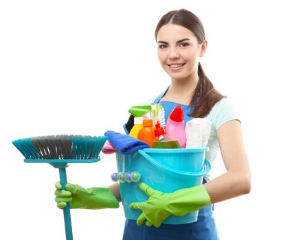 Staff member checking carpet care products and cleaning standards