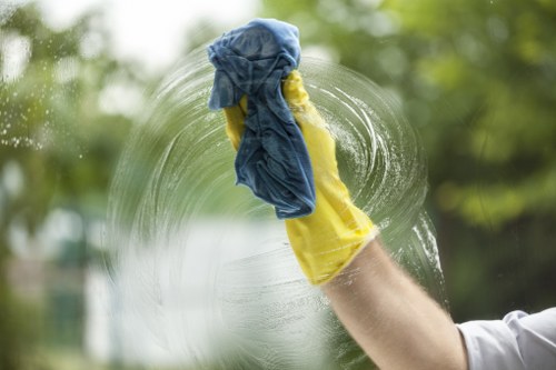 Accessible website layout for Carpetcleaning SW10 service information