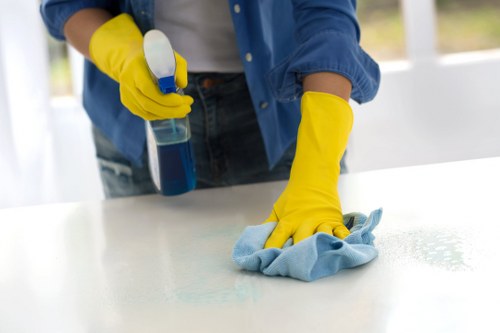 User requesting accessible format support for carpet cleaning information in SW10