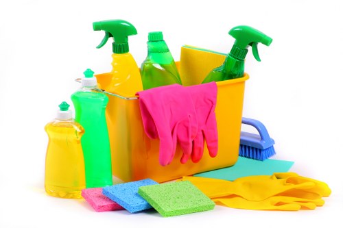 Regular home cleaning service for SW10 residents
